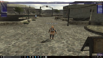 ffxi.JPG